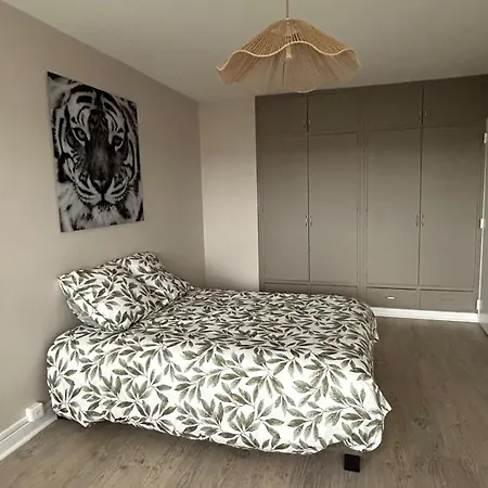 Confort A Appartement